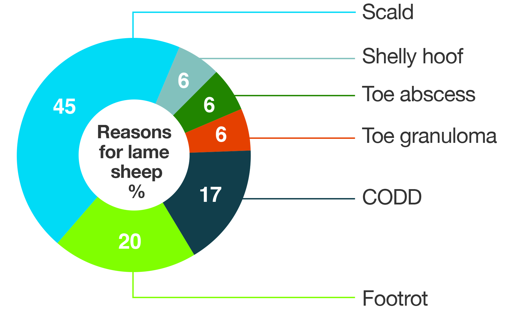 Reasons for lame sheep – pie chart